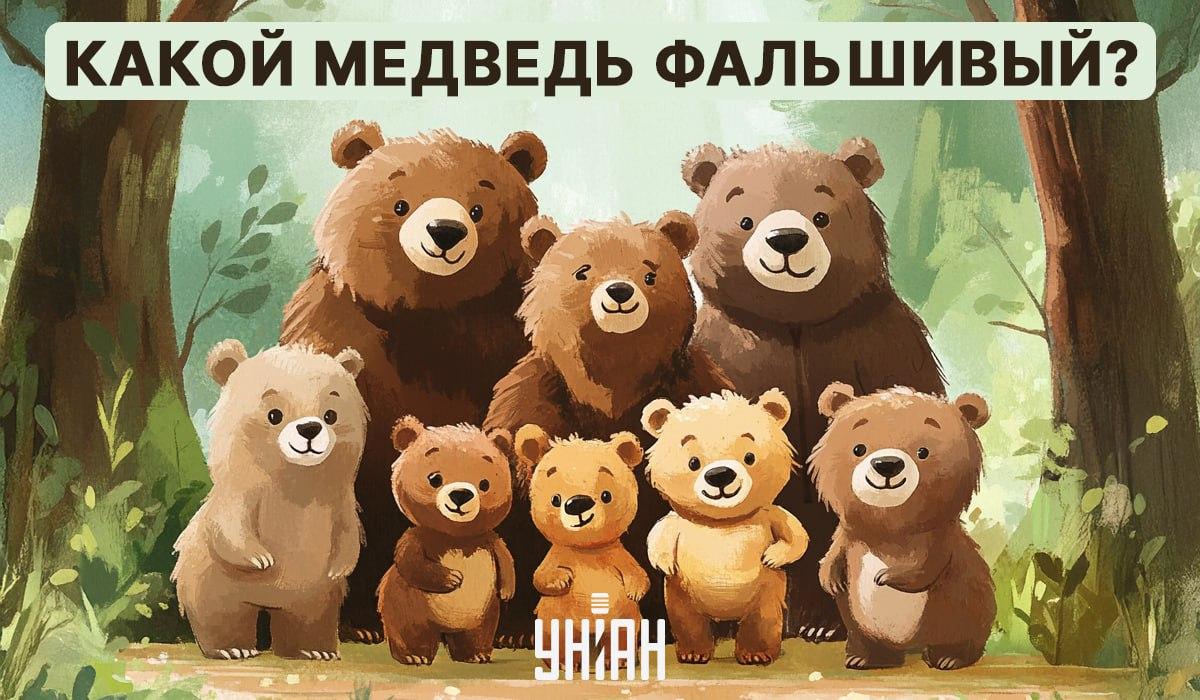 يجب العثور على لغز بصري 