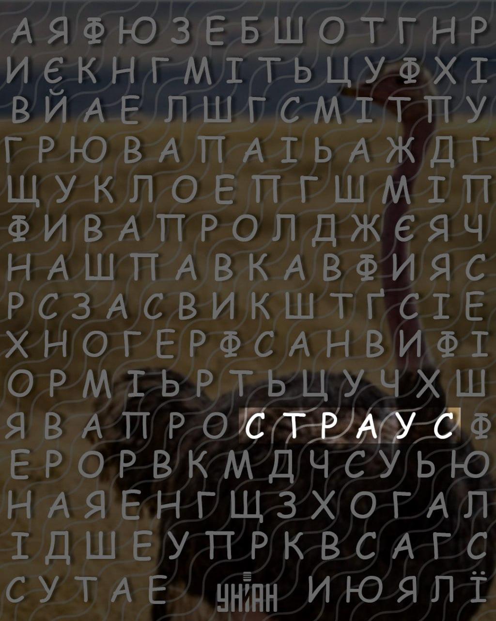 فقط الأشخاص الذين يتمتعون بمعدل ذكاء مرتفع سيجدون كلمة 