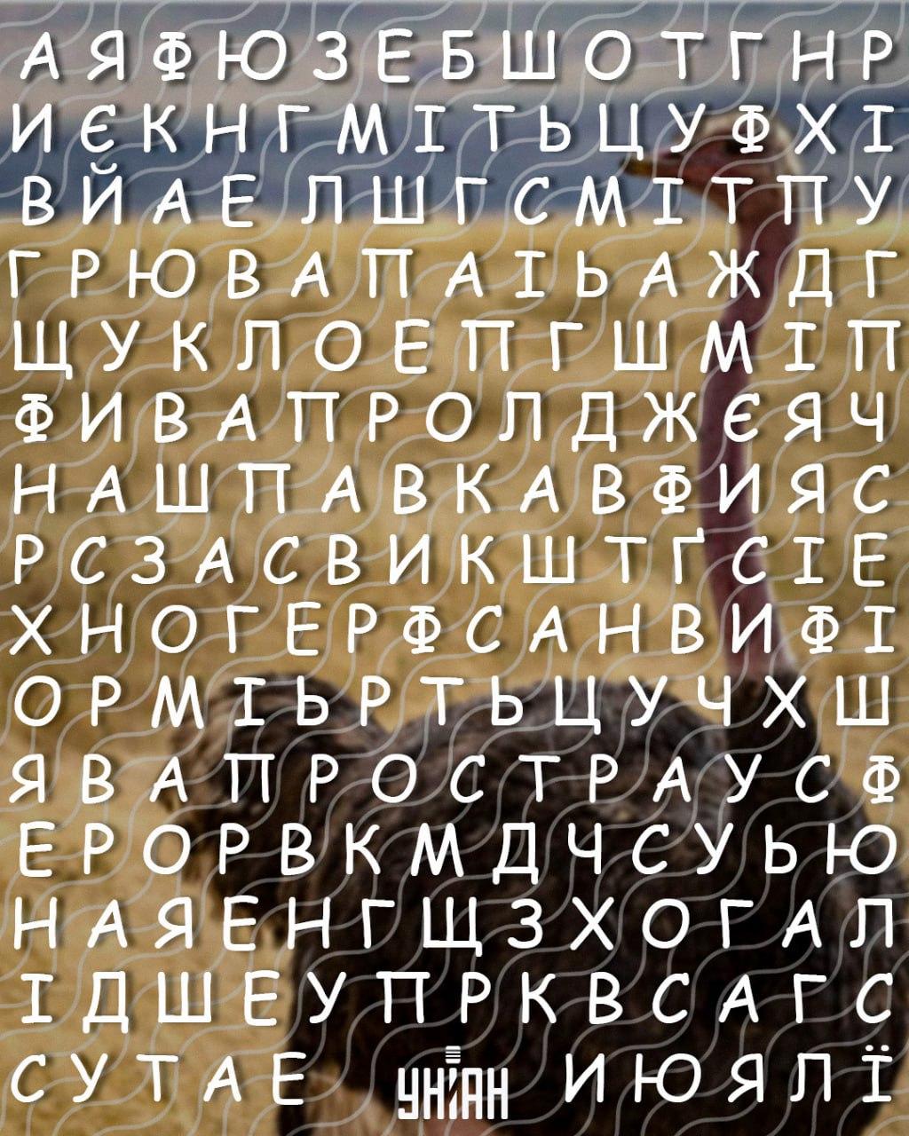 فقط الأشخاص الذين يتمتعون بمعدل ذكاء مرتفع سيجدون كلمة 