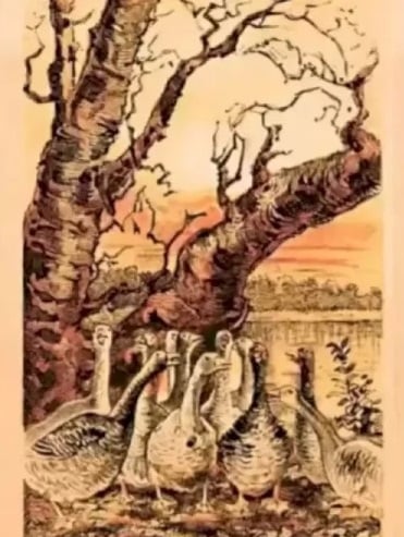 الوهم البصري