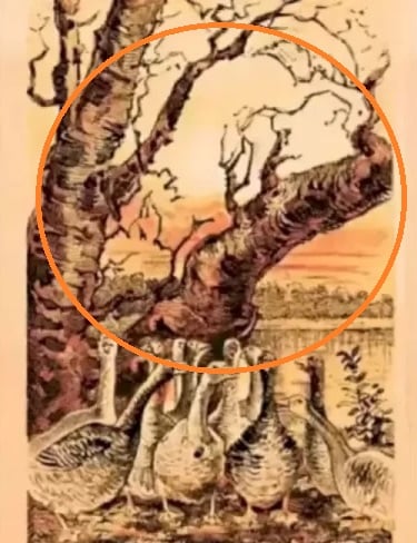 الوهم البصري